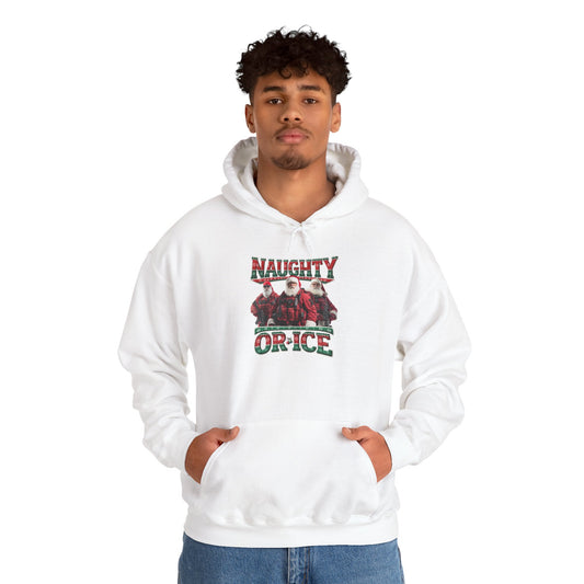 Naughty or Ice (Hoodie)